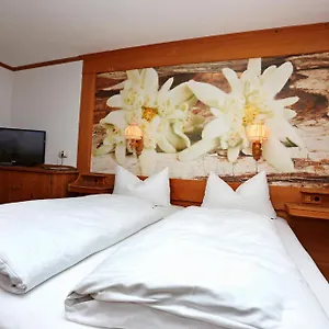 3* Hotel Lustiger Hirsch